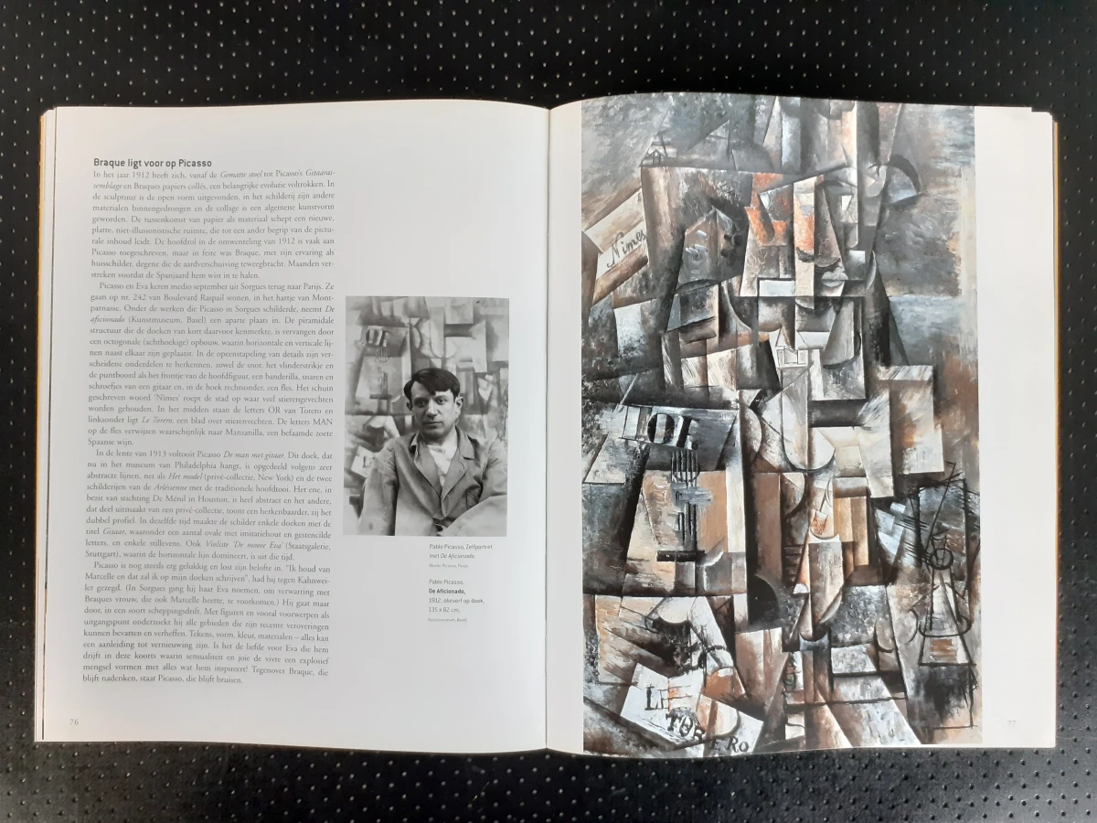Boek: Kubisme - foto 3