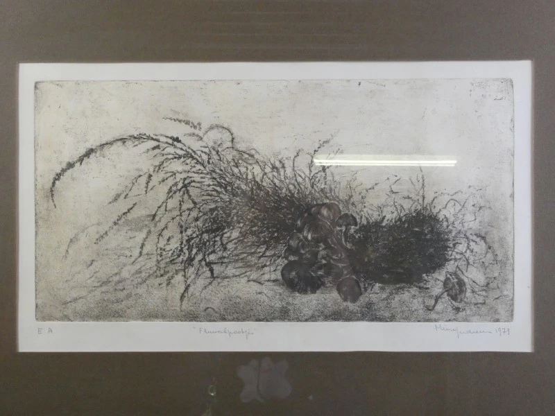Ingelijst ets ‘Fluweelpootje’ 1979 – E.A.  gesigneerd - foto 2