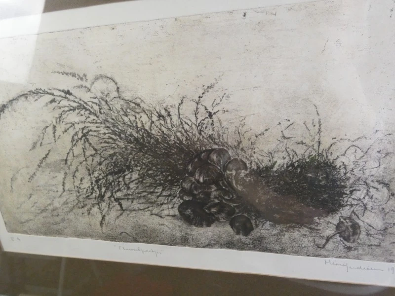 Ingelijst ets ‘Fluweelpootje’ 1979 – E.A.  gesigneerd - foto 3