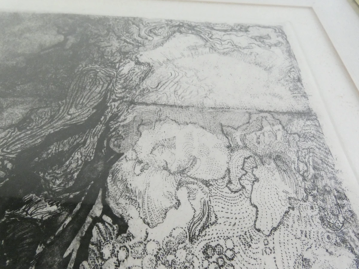 Ingelijst grafisch werk- gesigneerd en genummerd - foto 5