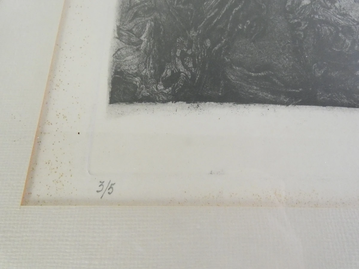 Ingelijst grafisch werk- gesigneerd en genummerd - foto 7