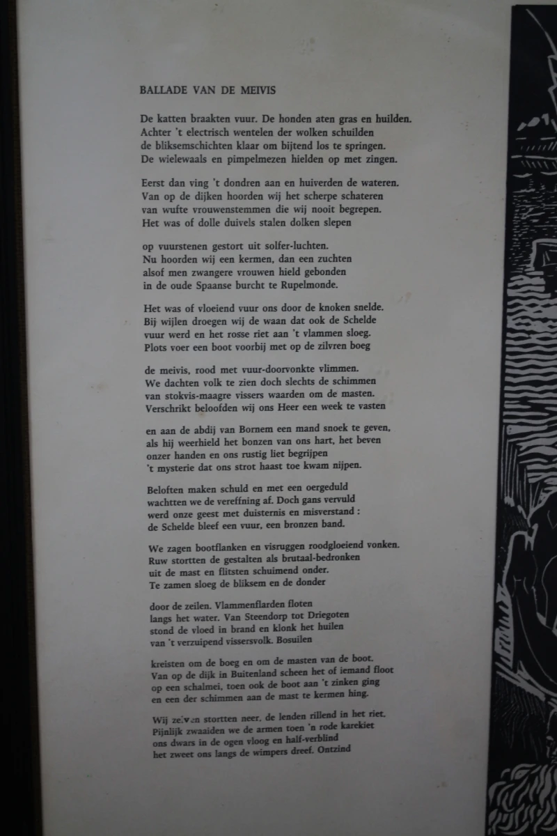 Genummerde Lithografie Frank-Ivo van Damme - foto 7
