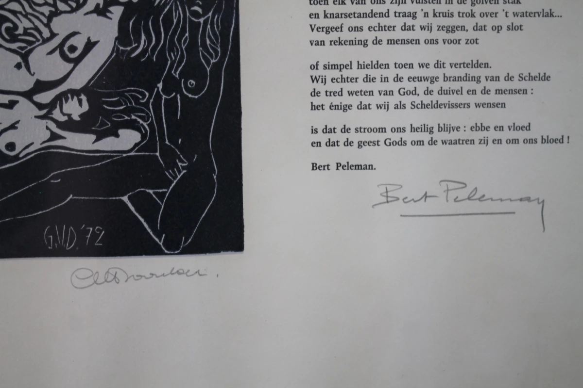 Genummerde Lithografie Frank-Ivo van Damme - foto 6
