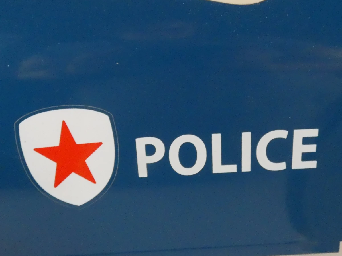 Metalen loopauto - Police - Vilac - foto 8