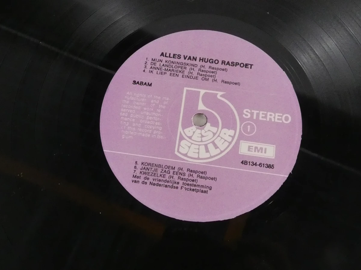 Vinylplaat Alles van Hugo Raspoet - 2LP - foto 4