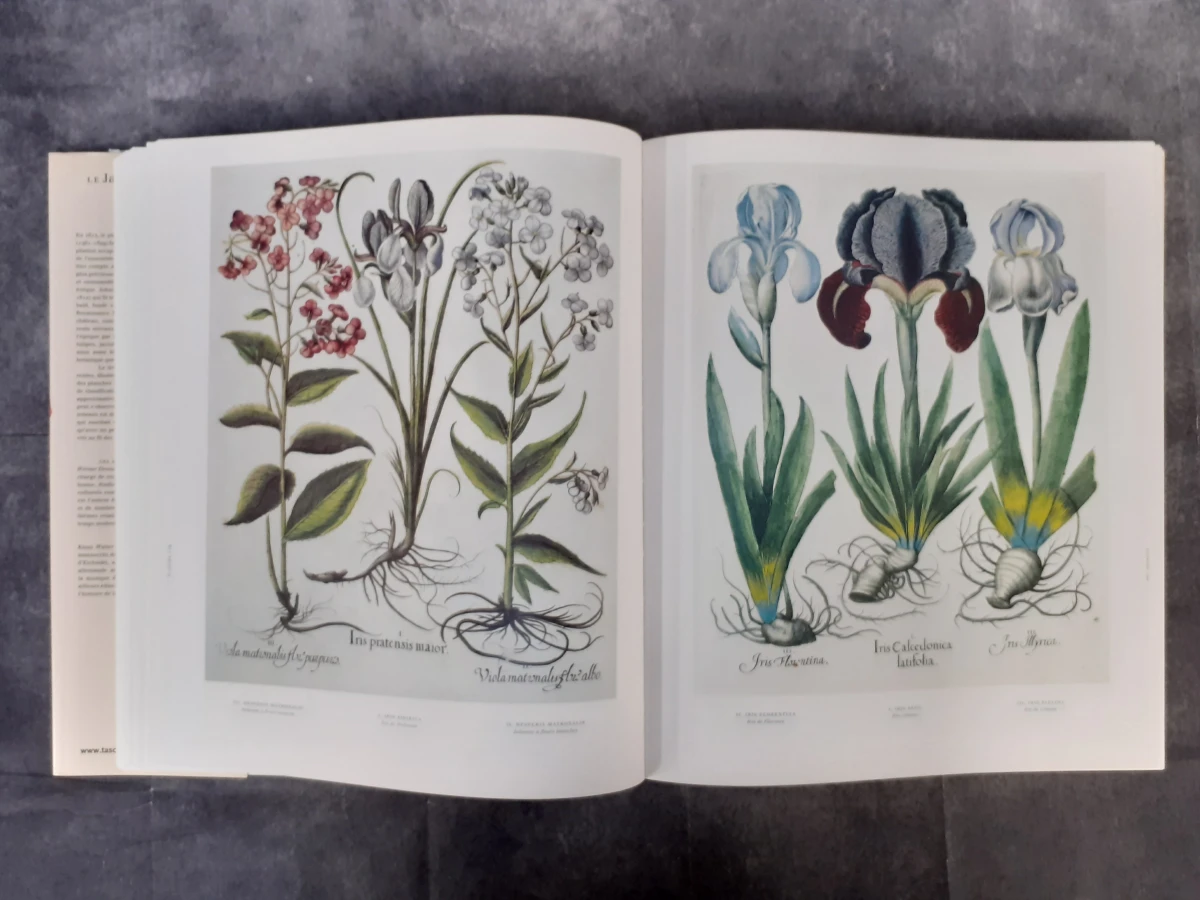 Boek: Le Jardin d'Eichstätt - foto 5