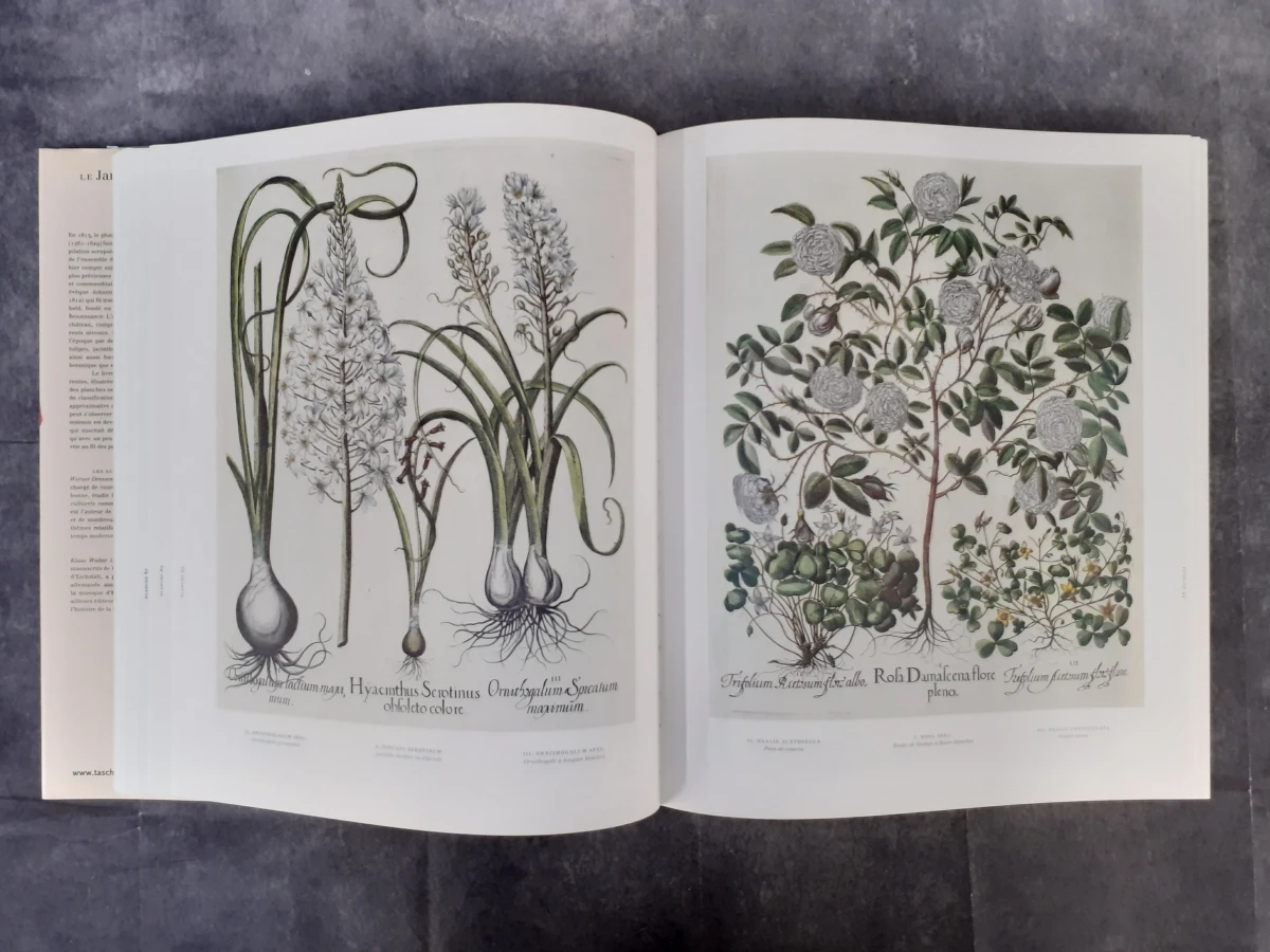 Boek: Le Jardin d'Eichstätt - foto 4