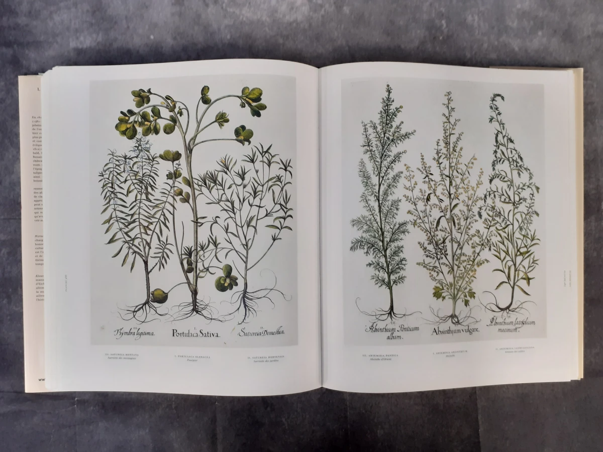 Boek: Le Jardin d'Eichstätt - foto 8