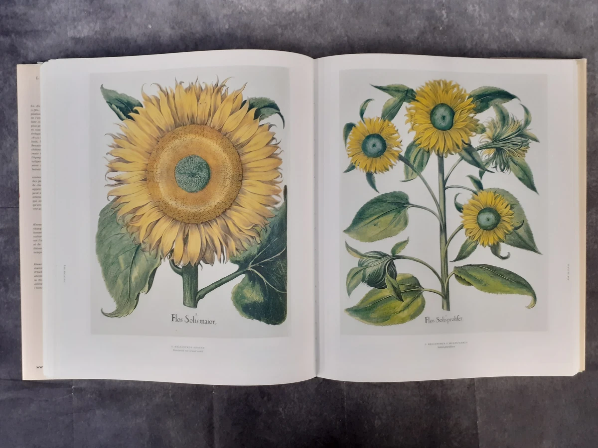 Boek: Le Jardin d'Eichstätt - foto 7
