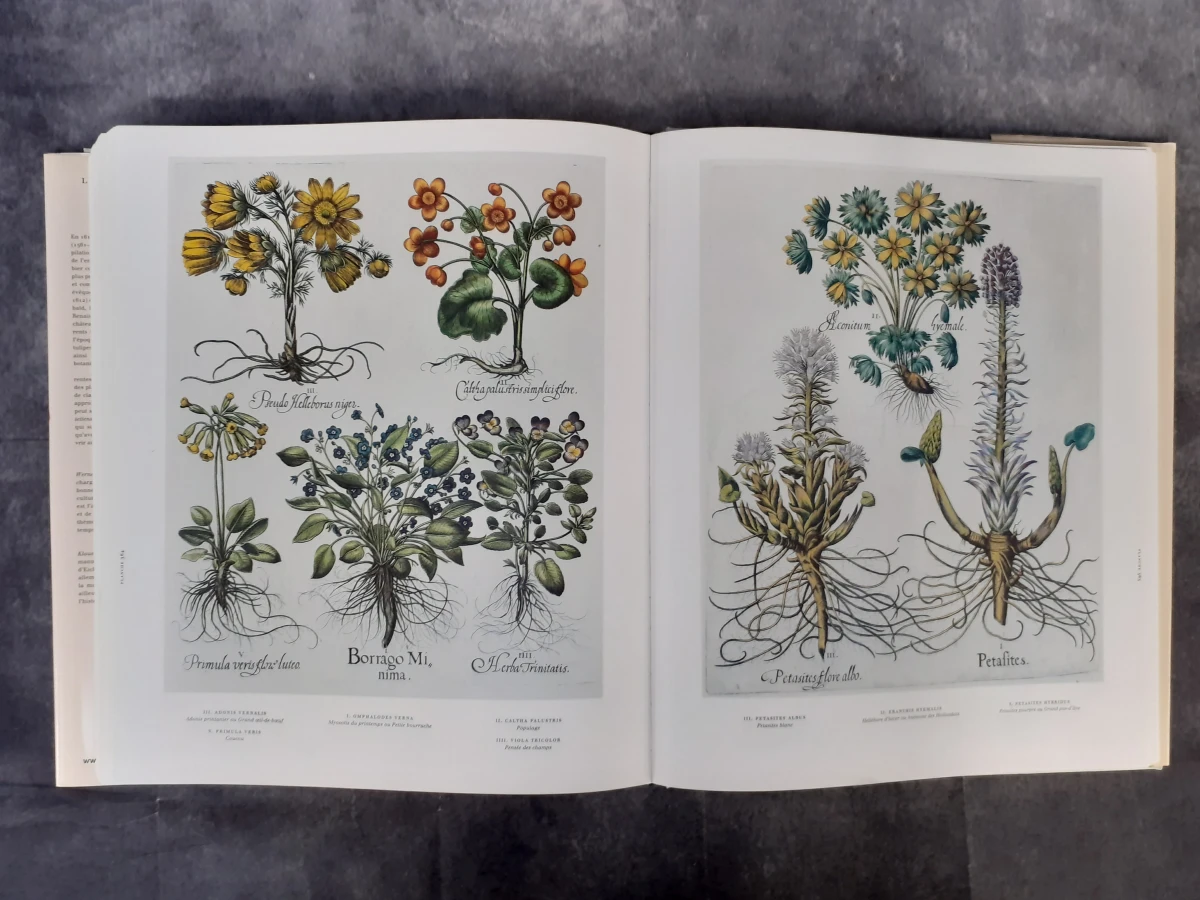 Boek: Le Jardin d'Eichstätt - foto 9
