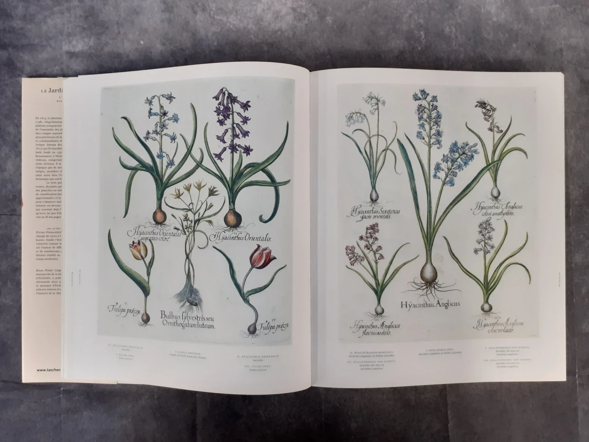 Boek: Le Jardin d'Eichstätt - foto 3