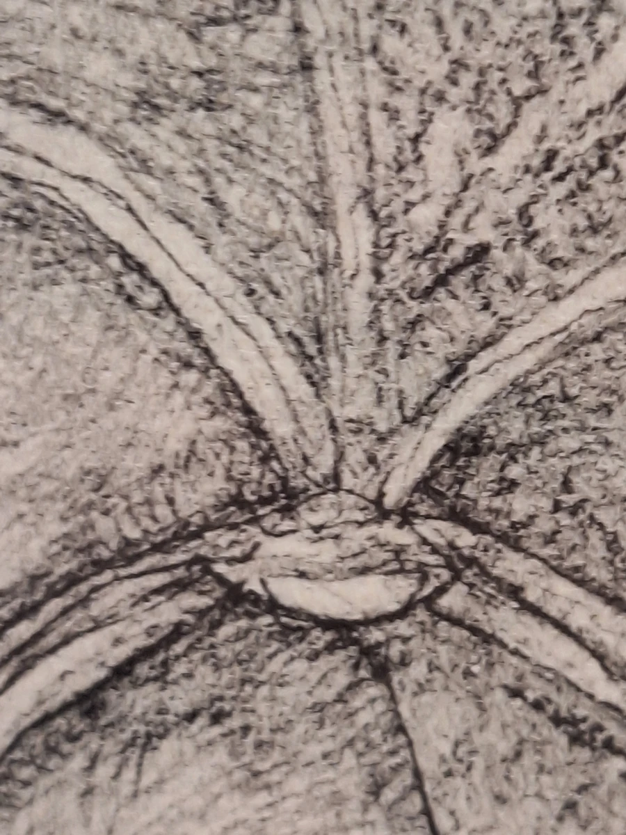 Reproductie van een tekening can de “Sinte Klaas Kerke Gent”- 1936 - Jules De Bruycker - foto 7