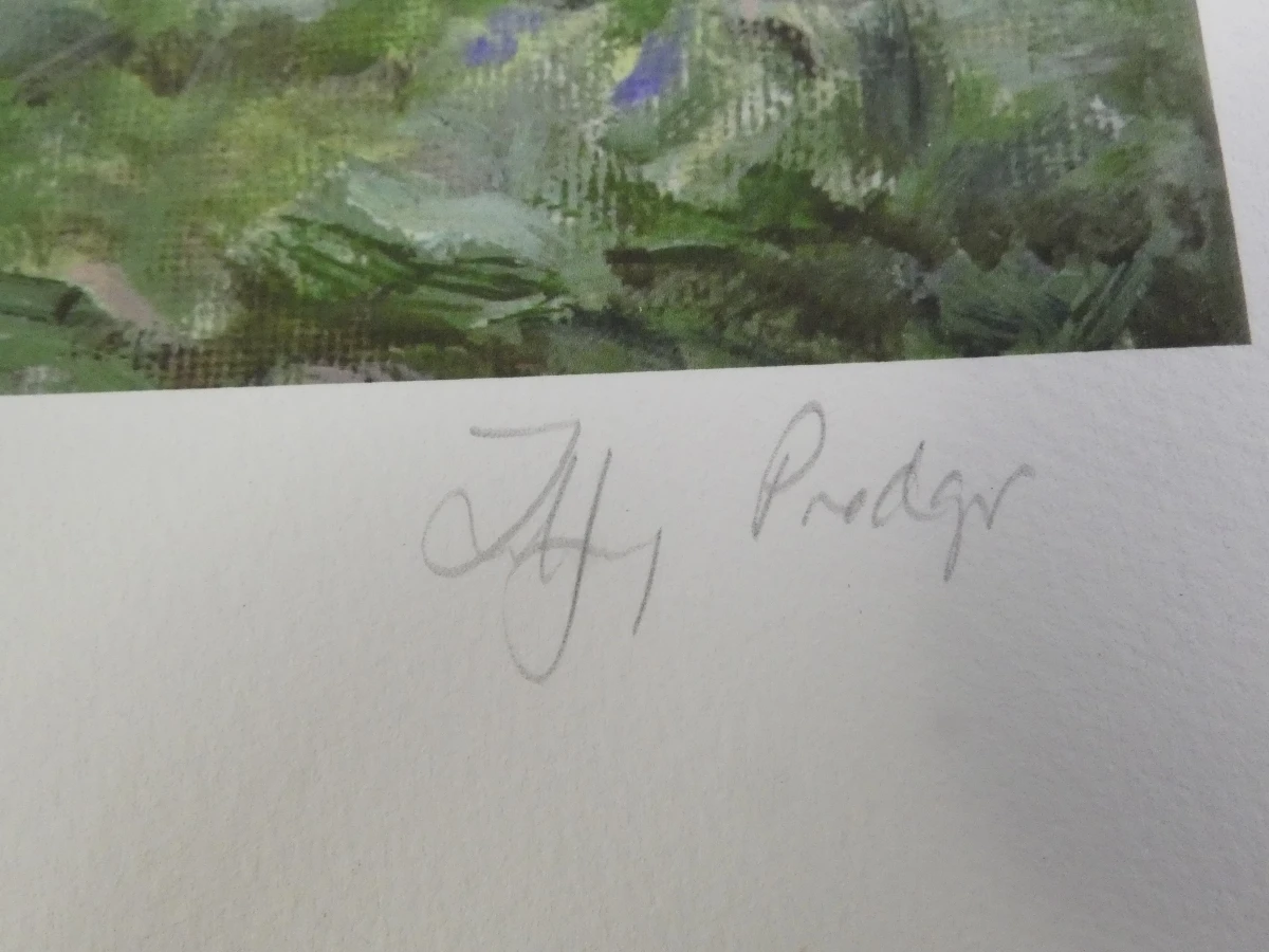 Set gesigneerde afdrukken - Tiffany Prodger in map - foto 6