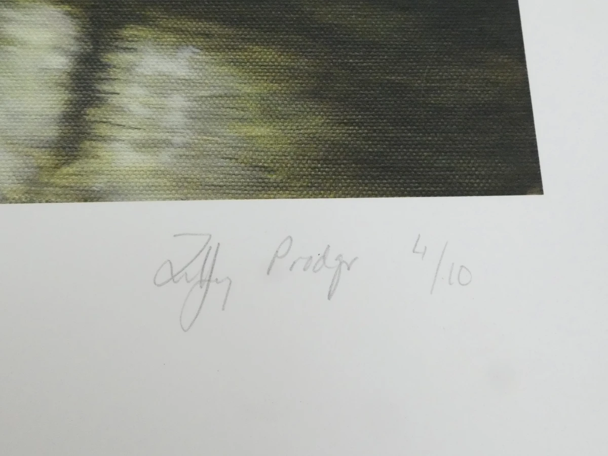 Set gesigneerde afdrukken - Tiffany Prodger in map - foto 10