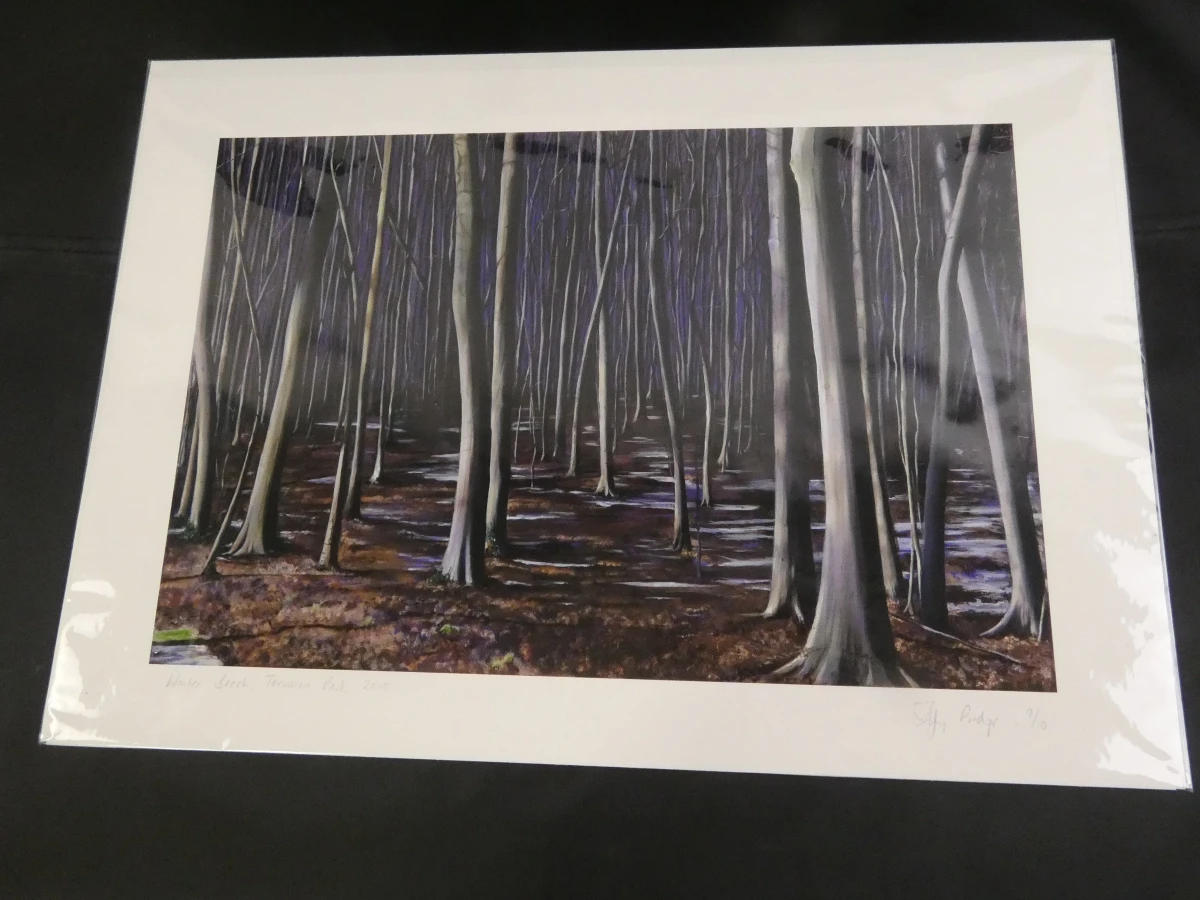 Set gesigneerde afdrukken - Tiffany Prodger in map - foto 12