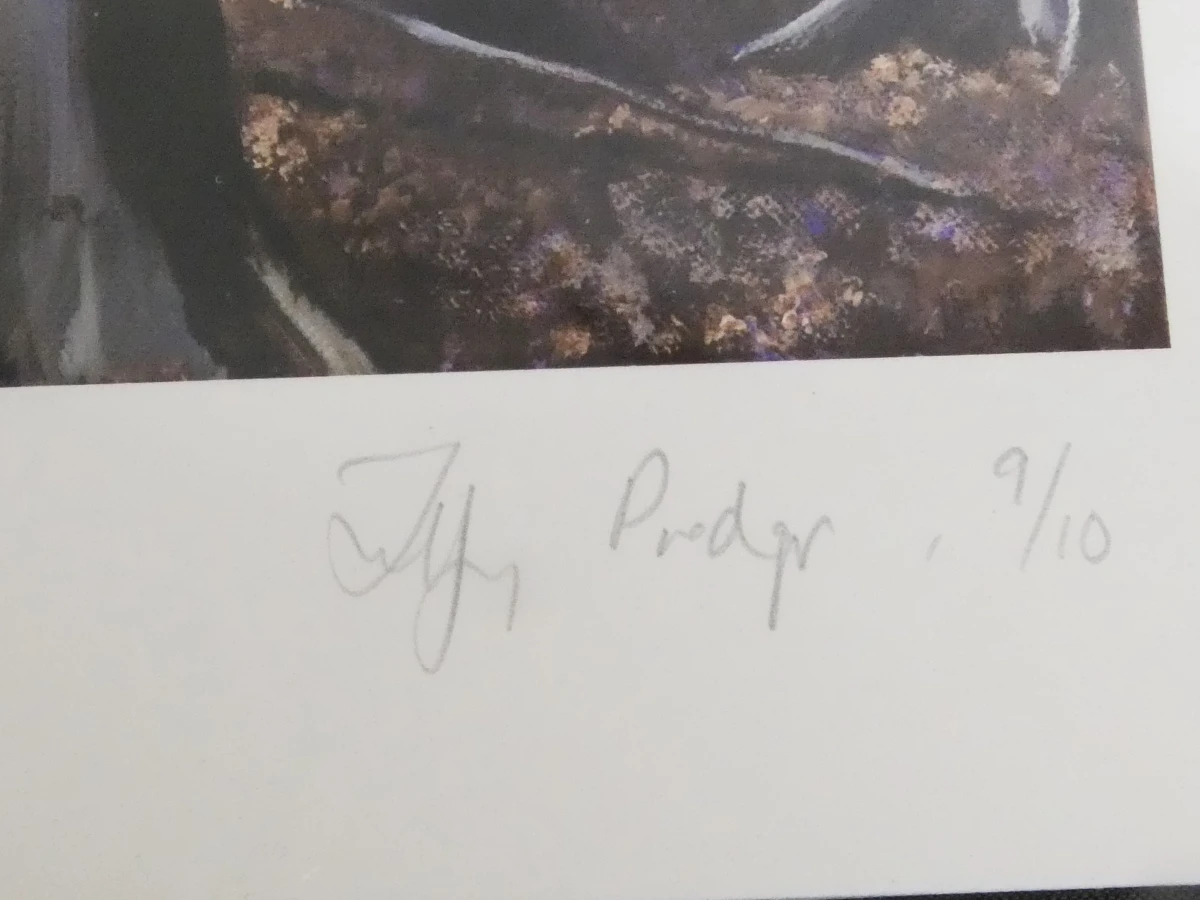 Set gesigneerde afdrukken - Tiffany Prodger in map - foto 14