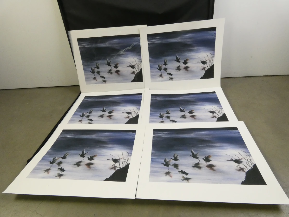 Set gesigneerde afdrukken - Tiffany Prodger in map - foto 20