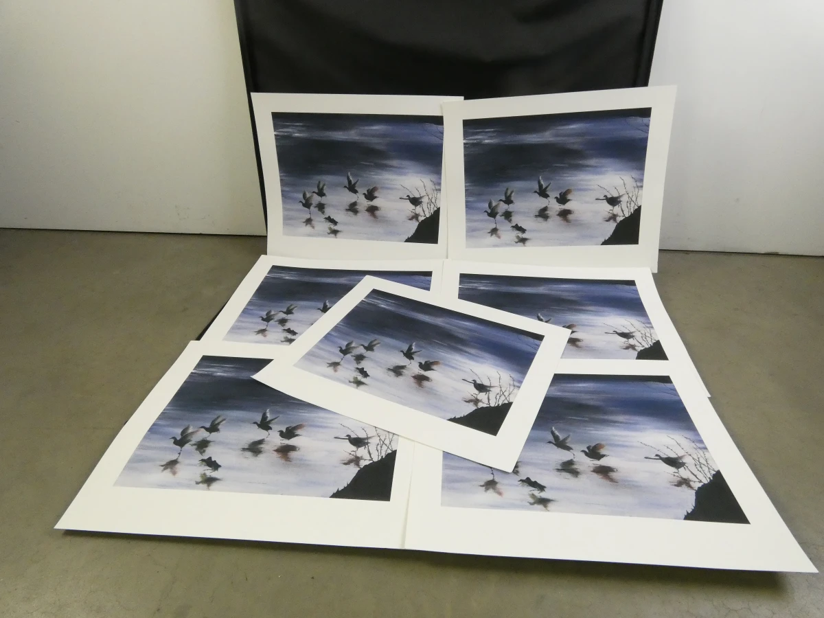 Set gesigneerde afdrukken - Tiffany Prodger in map - foto 21