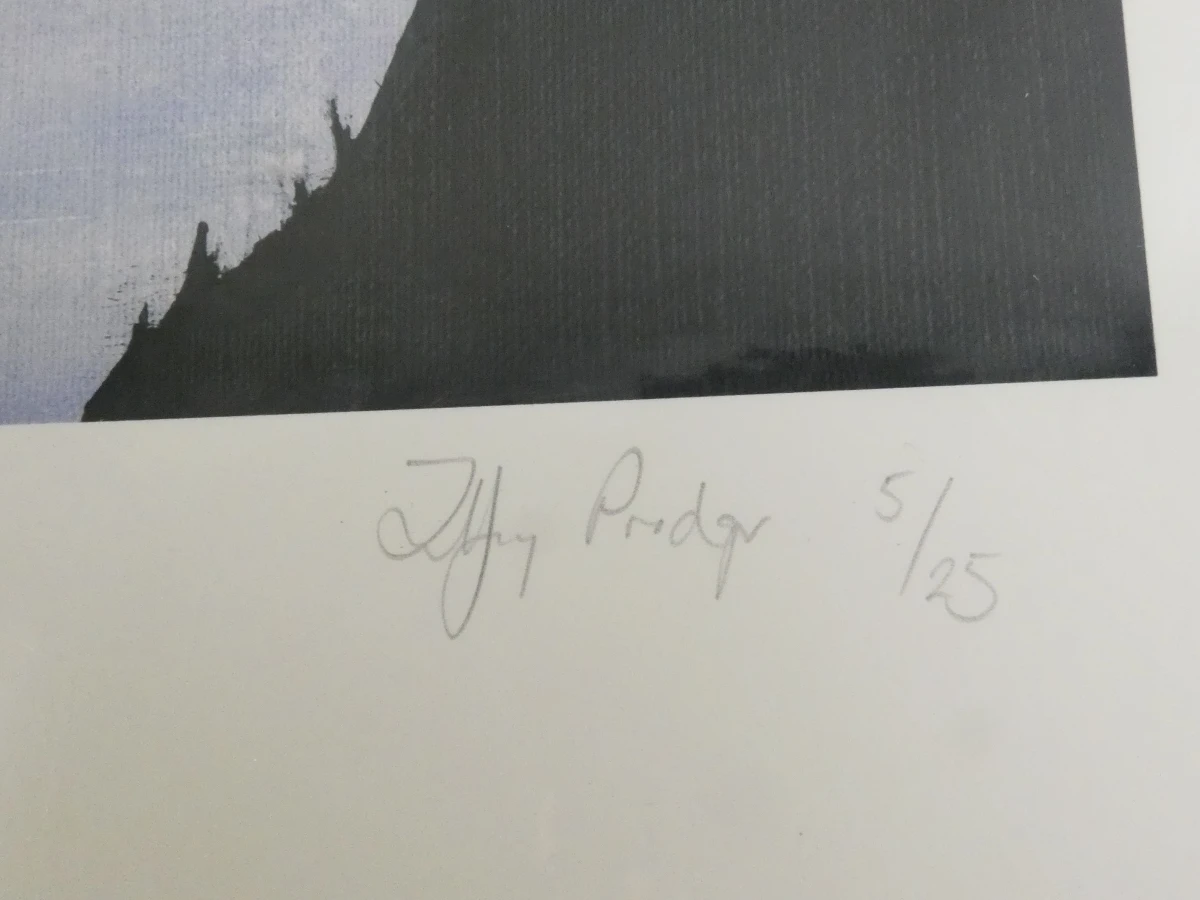 Set gesigneerde afdrukken - Tiffany Prodger in map - foto 23