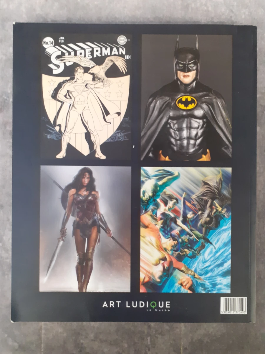 strips: DC Exhibition: Dawn of Super Heroes - foto 7