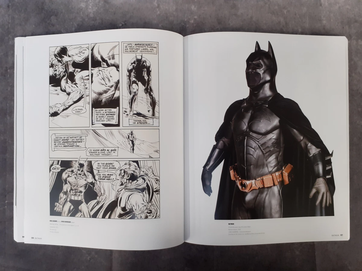 strips: DC Exhibition: Dawn of Super Heroes - foto 4