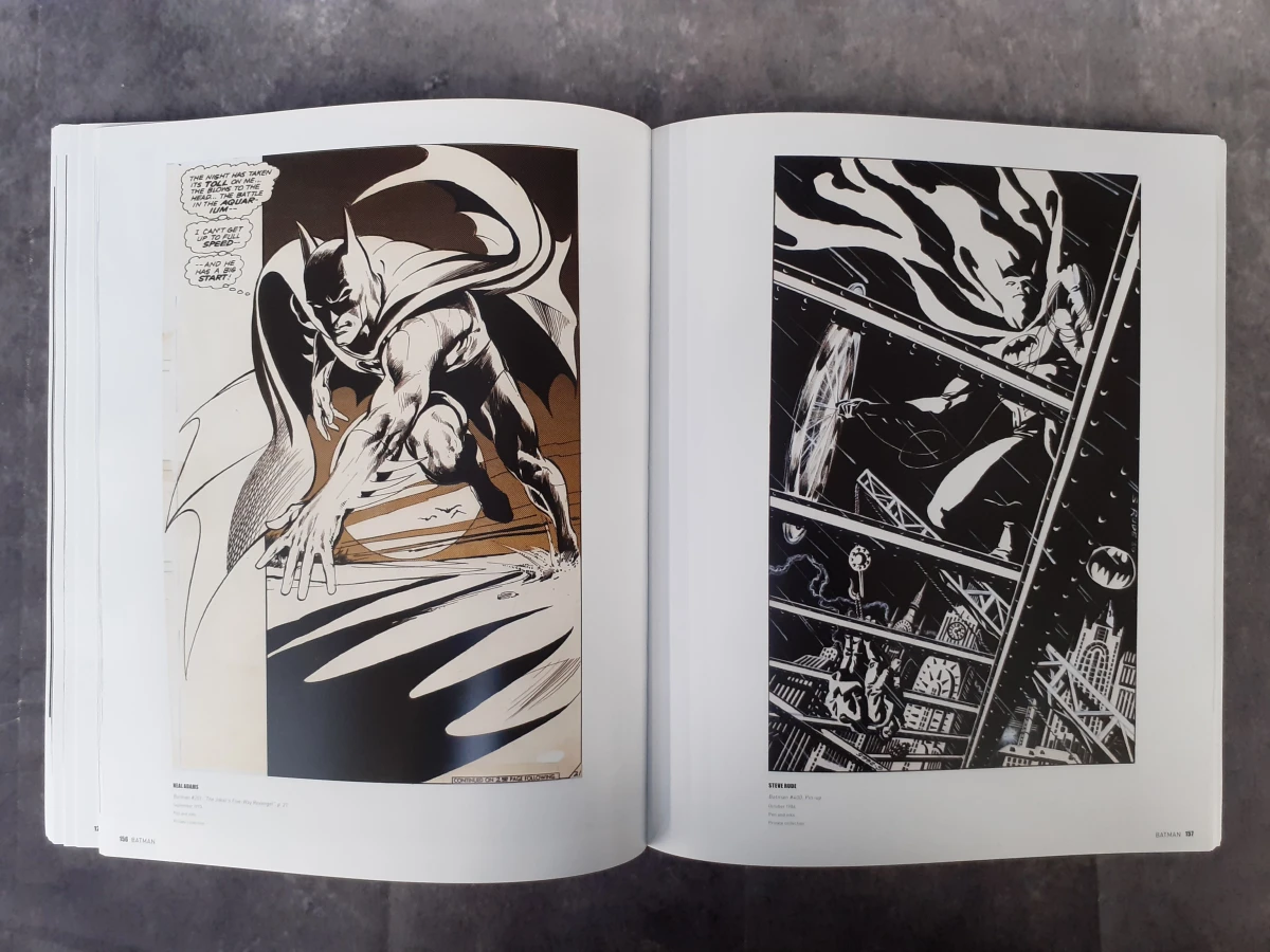 strips: DC Exhibition: Dawn of Super Heroes - foto 5