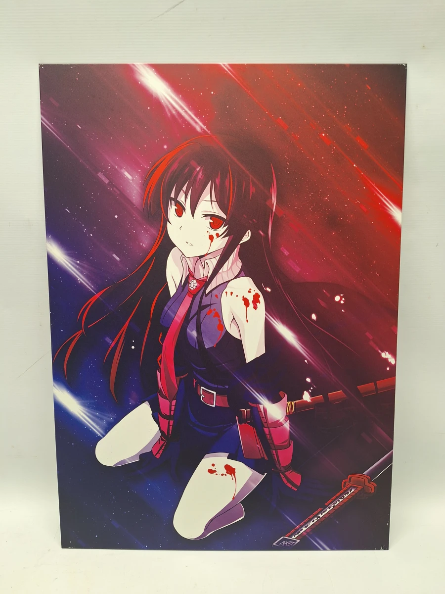Set van 3 originele Displate animeposters - Akame ga Kill!, No Game No Life & Sword Art Online - foto 6