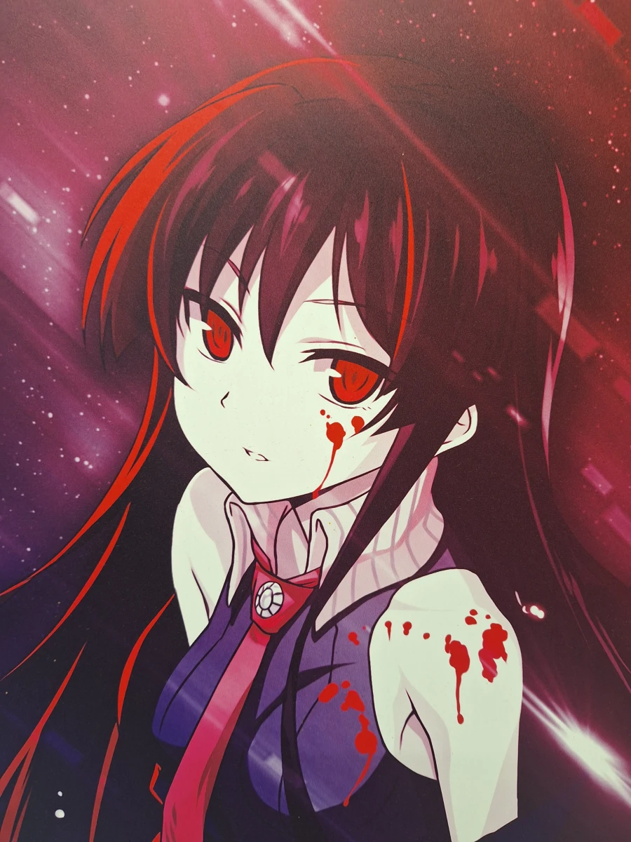 Set van 3 originele Displate animeposters - Akame ga Kill!, No Game No Life & Sword Art Online - foto 7