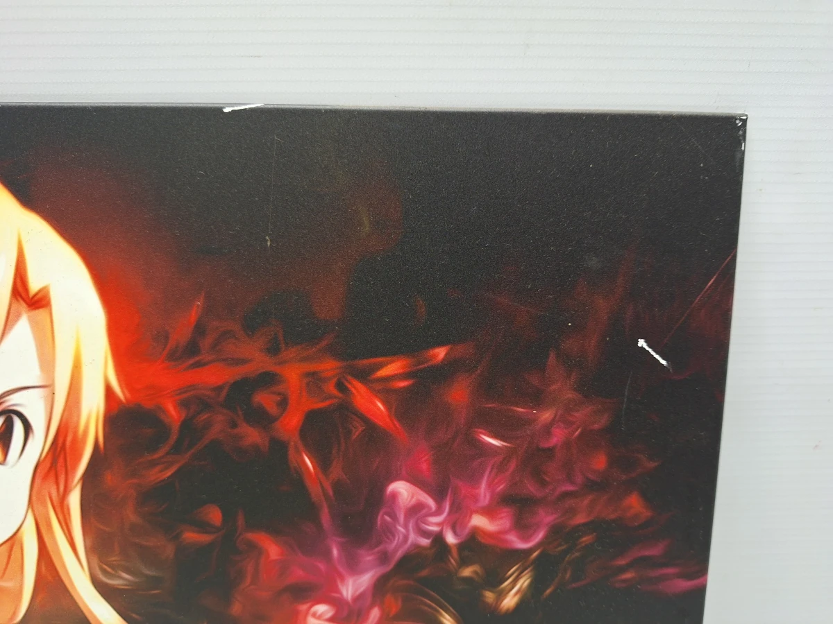 Set van 3 originele Displate animeposters - Akame ga Kill!, No Game No Life & Sword Art Online - foto 4