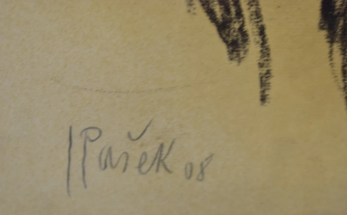 Gesigneerd vrouwenportret, gedateerd 1908 - foto 2