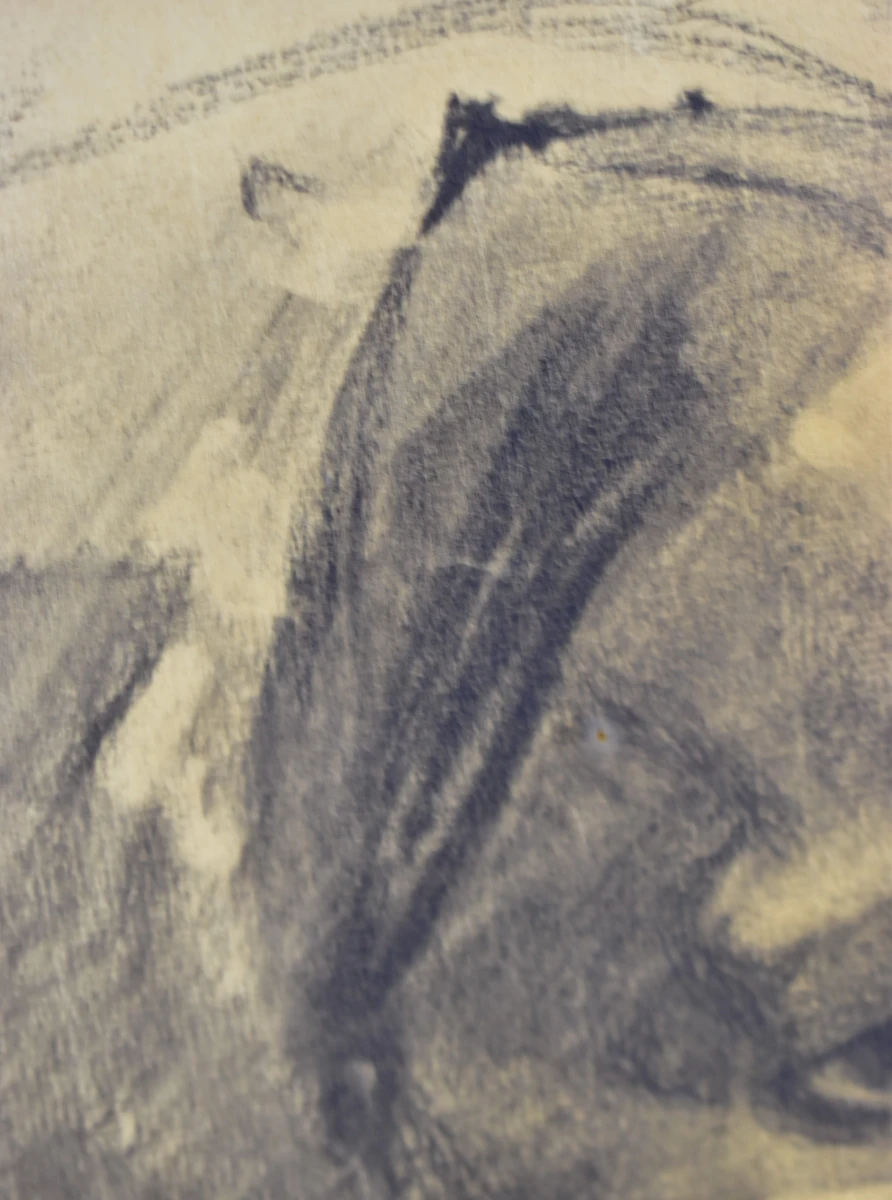 Gesigneerd vrouwenportret, gedateerd 1908 - foto 4