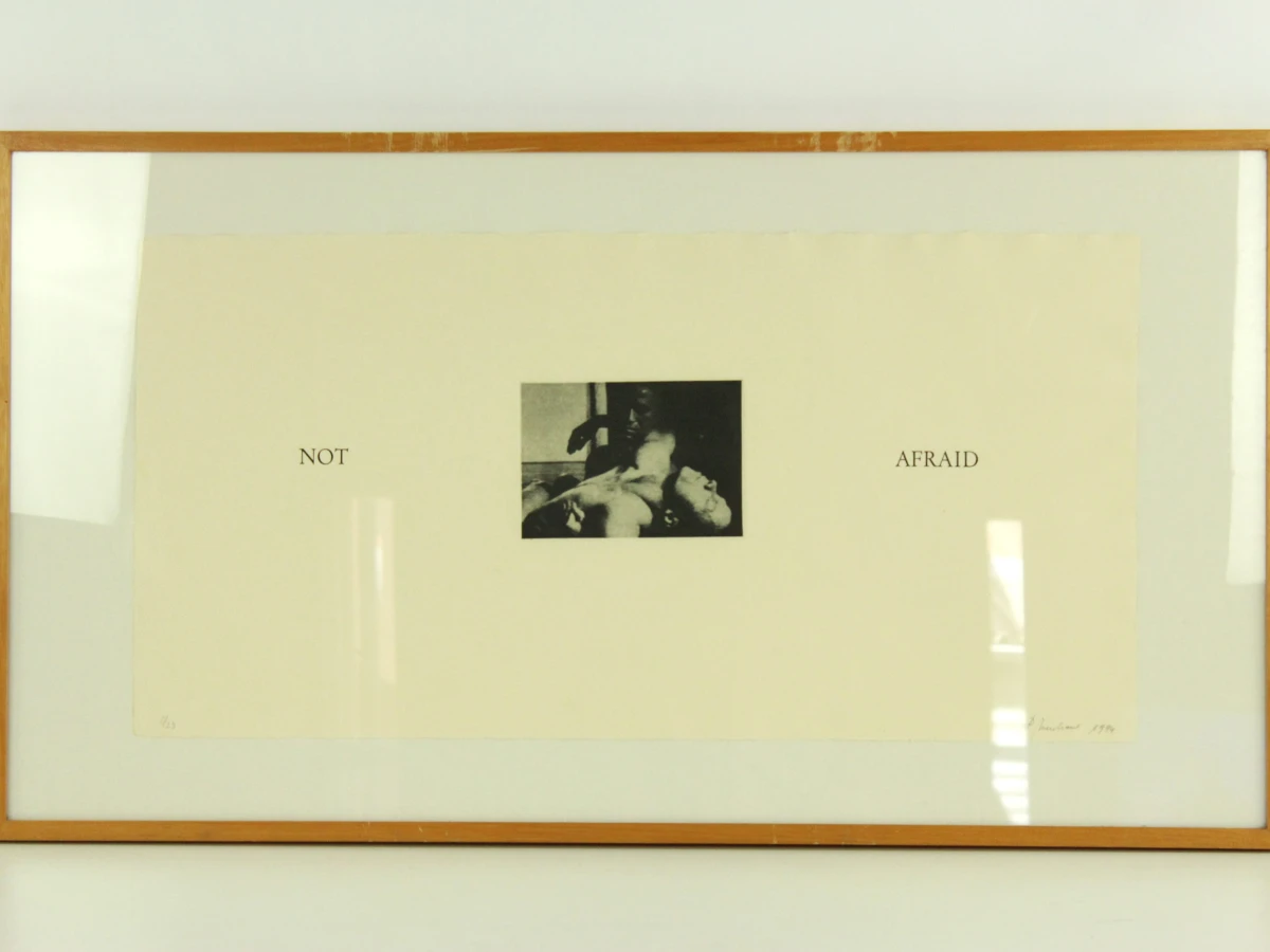 Patrick Merckaert (°1956) – “We Are / Not Afraid” – Tweeluik heliogravures, 1994 - foto 4