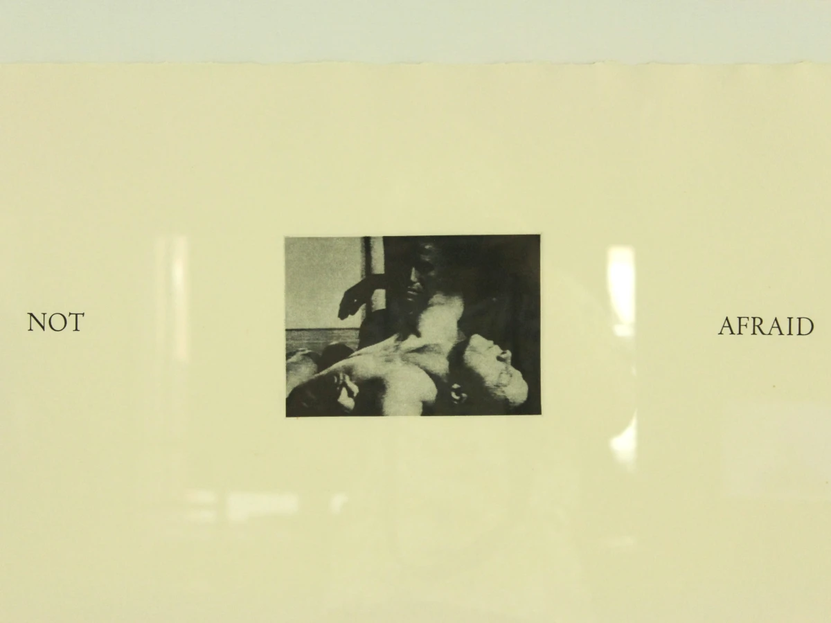 Patrick Merckaert (°1956) – “We Are / Not Afraid” – Tweeluik heliogravures, 1994 - foto 5