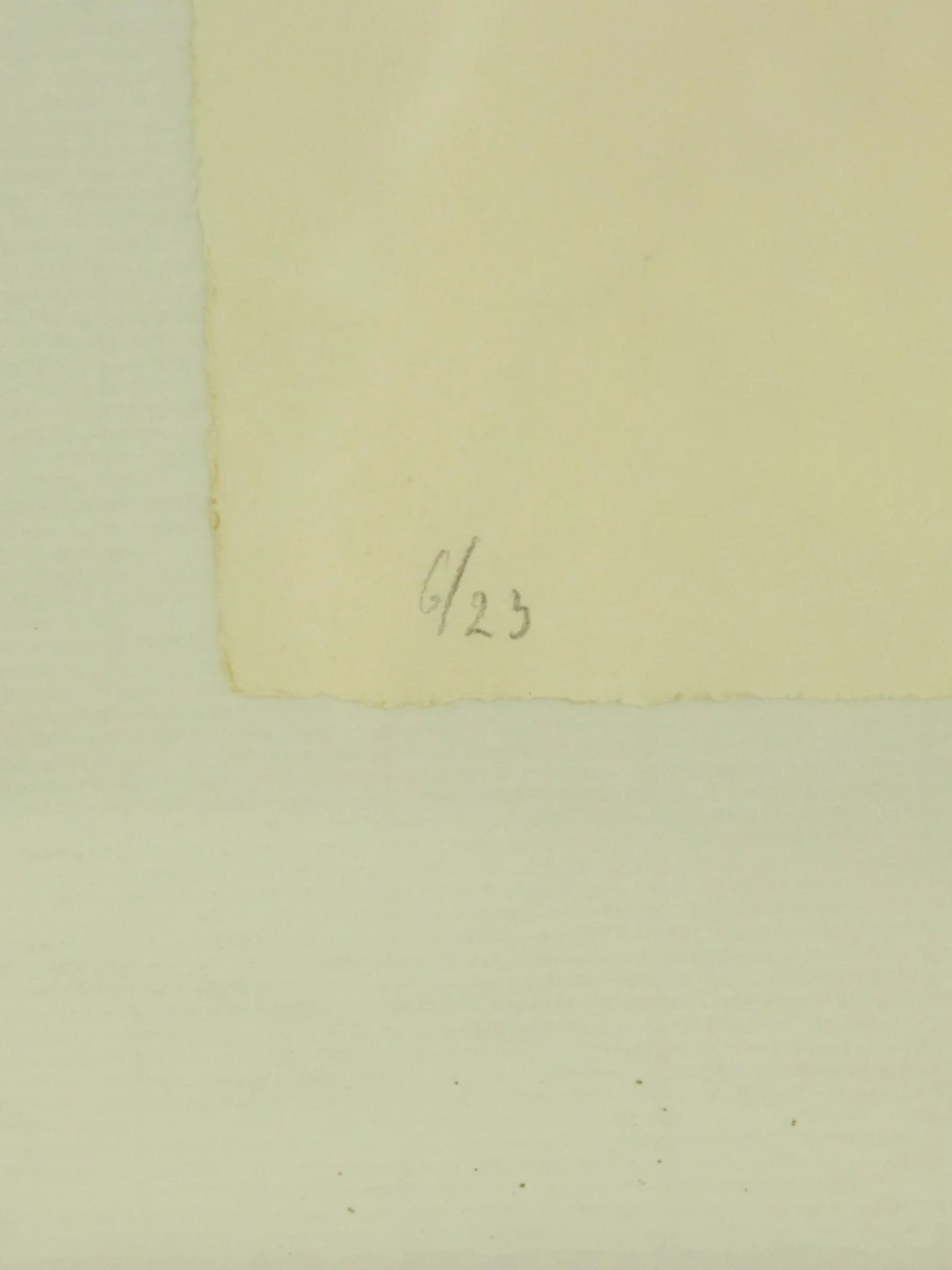 Patrick Merckaert (°1956) – “We Are / Not Afraid” – Tweeluik heliogravures, 1994 - foto 7