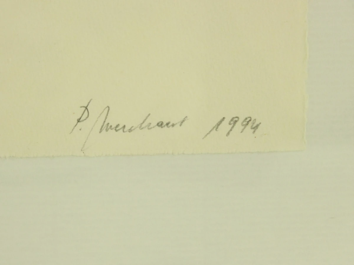 Patrick Merckaert (°1956) – “We Are / Not Afraid” – Tweeluik heliogravures, 1994 - foto 8