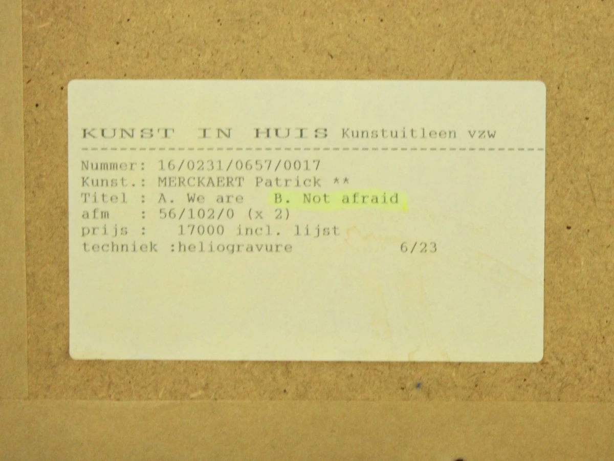 Patrick Merckaert (°1956) – “We Are / Not Afraid” – Tweeluik heliogravures, 1994 - foto 13