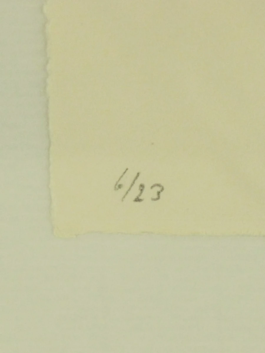 Patrick Merckaert (°1956) – “We Are / Not Afraid” – Tweeluik heliogravures, 1994 - foto 16