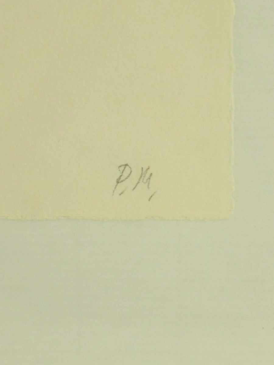 Patrick Merckaert (°1956) – “We Are / Not Afraid” – Tweeluik heliogravures, 1994 - foto 17