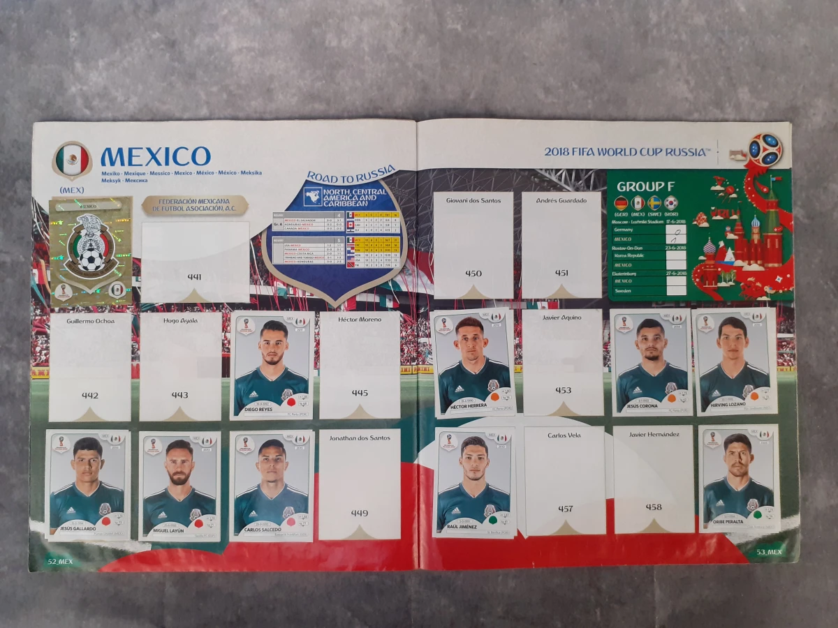 Boek: Set van 5 Panini verzamelboeken - foto 20