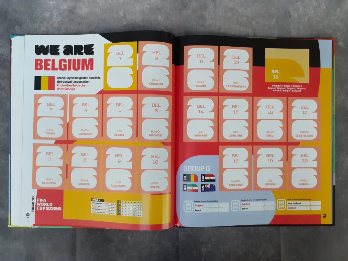 Boek: Set van 5 Panini verzamelboeken - foto 32