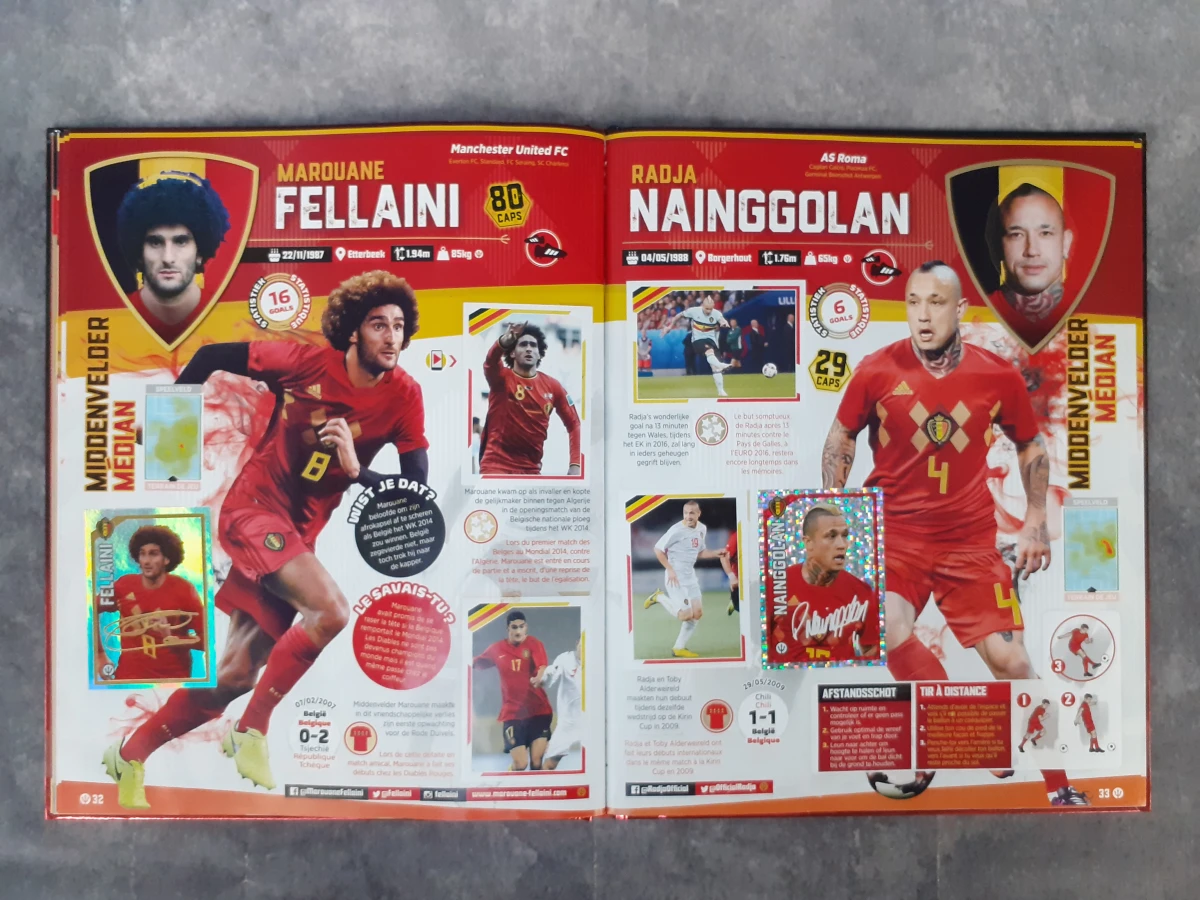 Boek: Set van 5 Panini verzamelboeken - foto 9