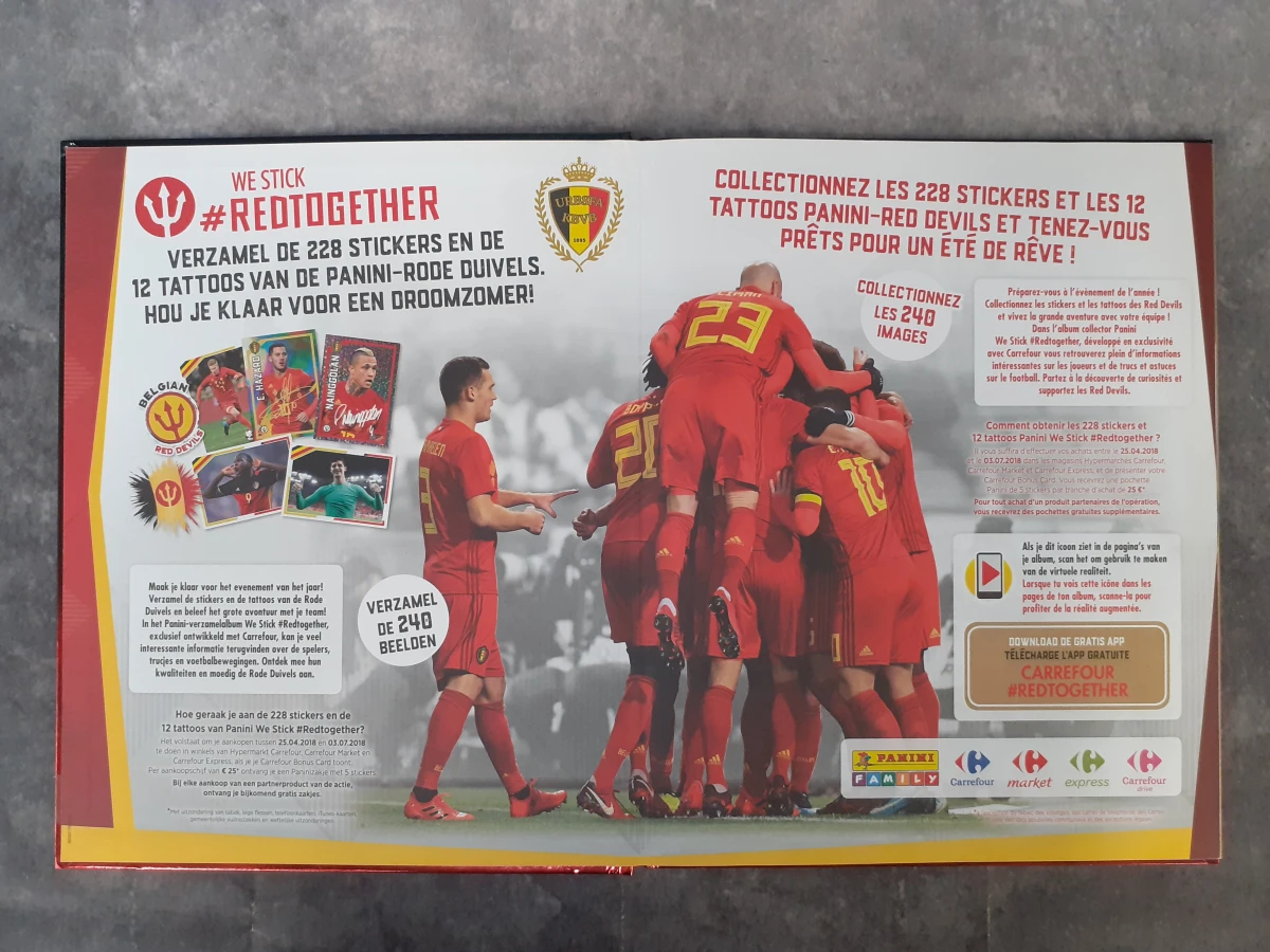 Boek: Set van 5 Panini verzamelboeken - foto 3