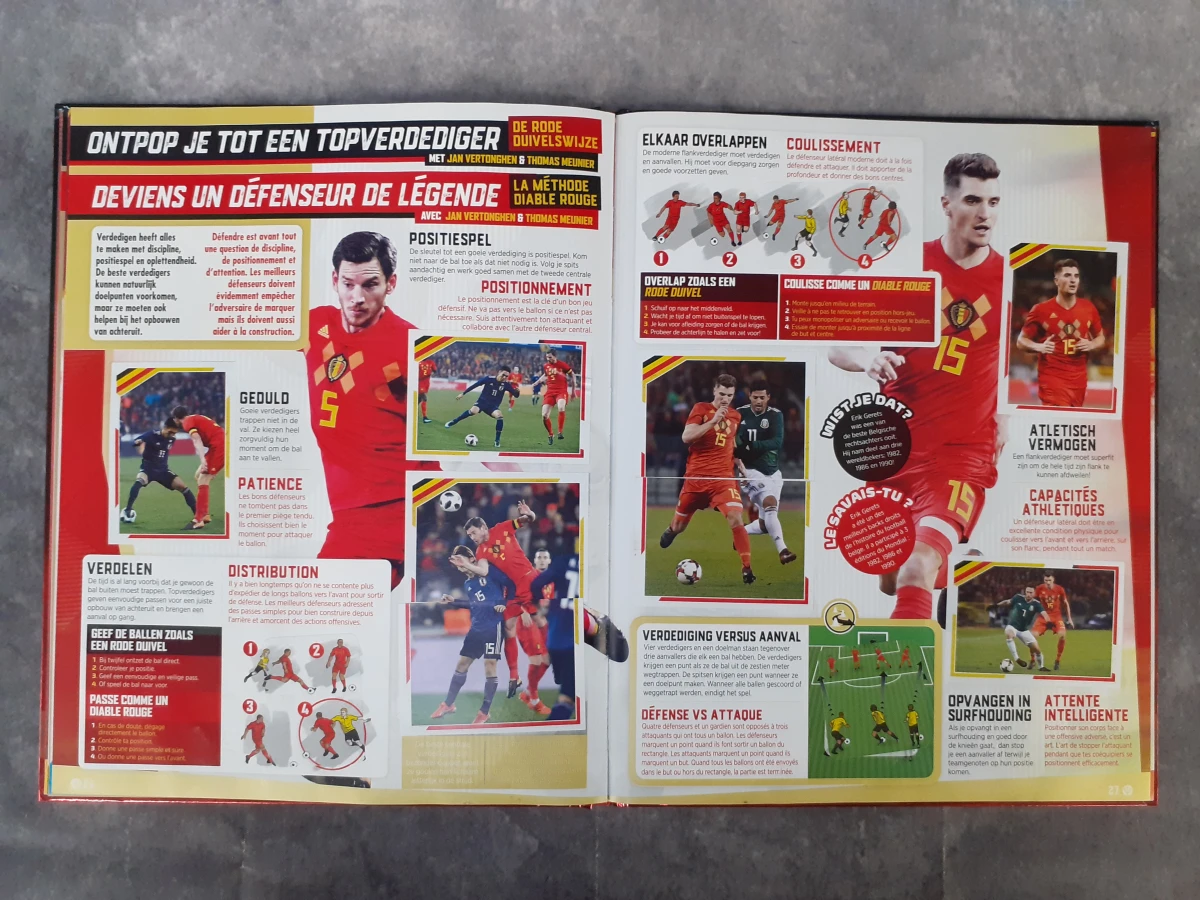 Boek: Set van 5 Panini verzamelboeken - foto 8