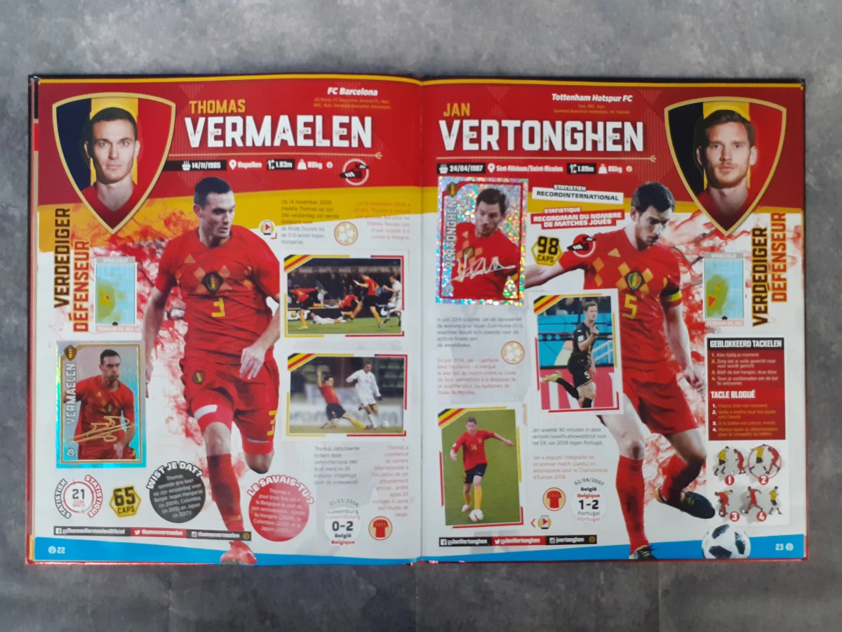 Boek: Set van 5 Panini verzamelboeken - foto 7