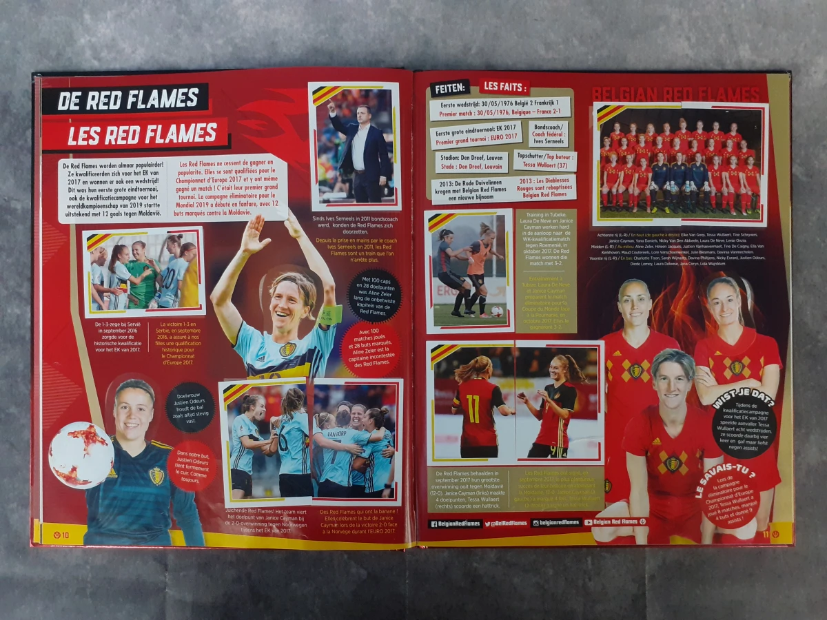 Boek: Set van 5 Panini verzamelboeken - foto 5