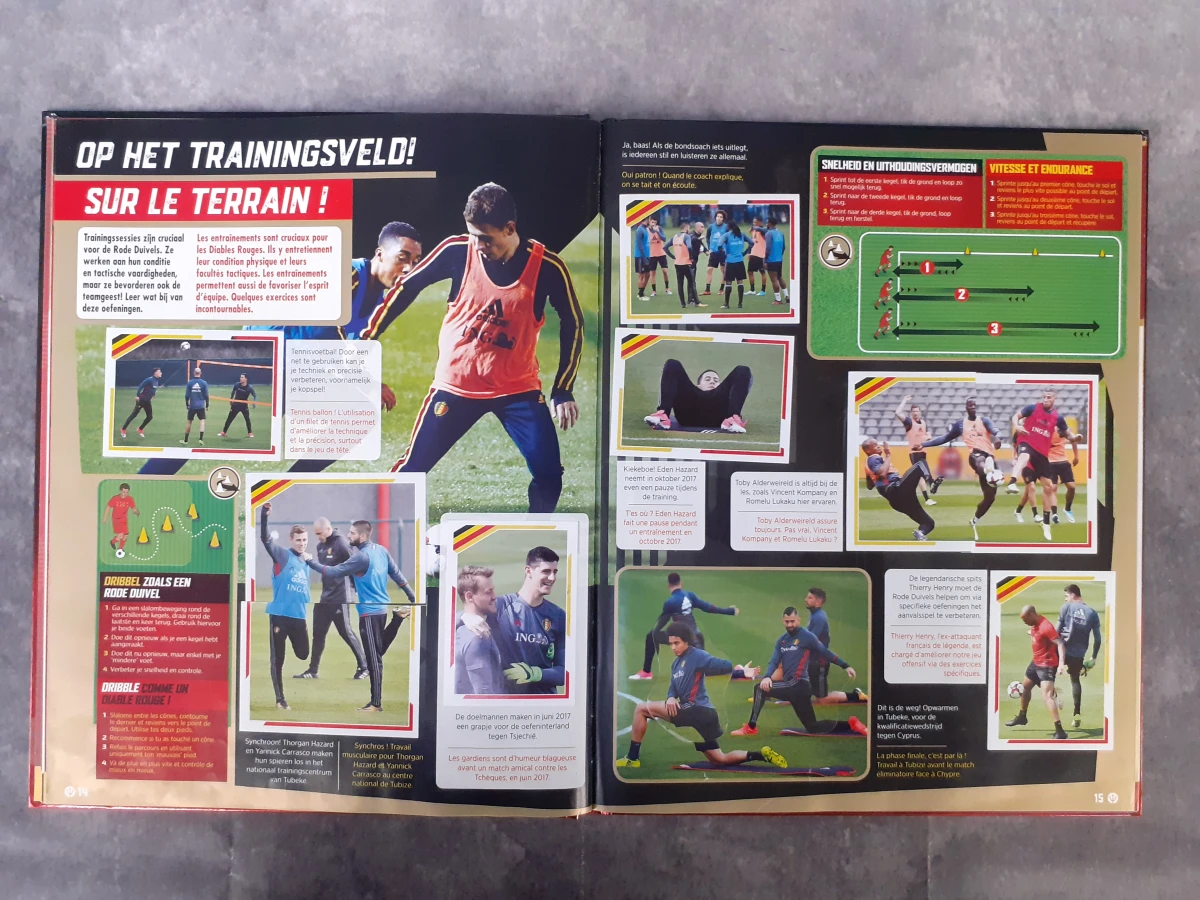 Boek: Set van 5 Panini verzamelboeken - foto 6