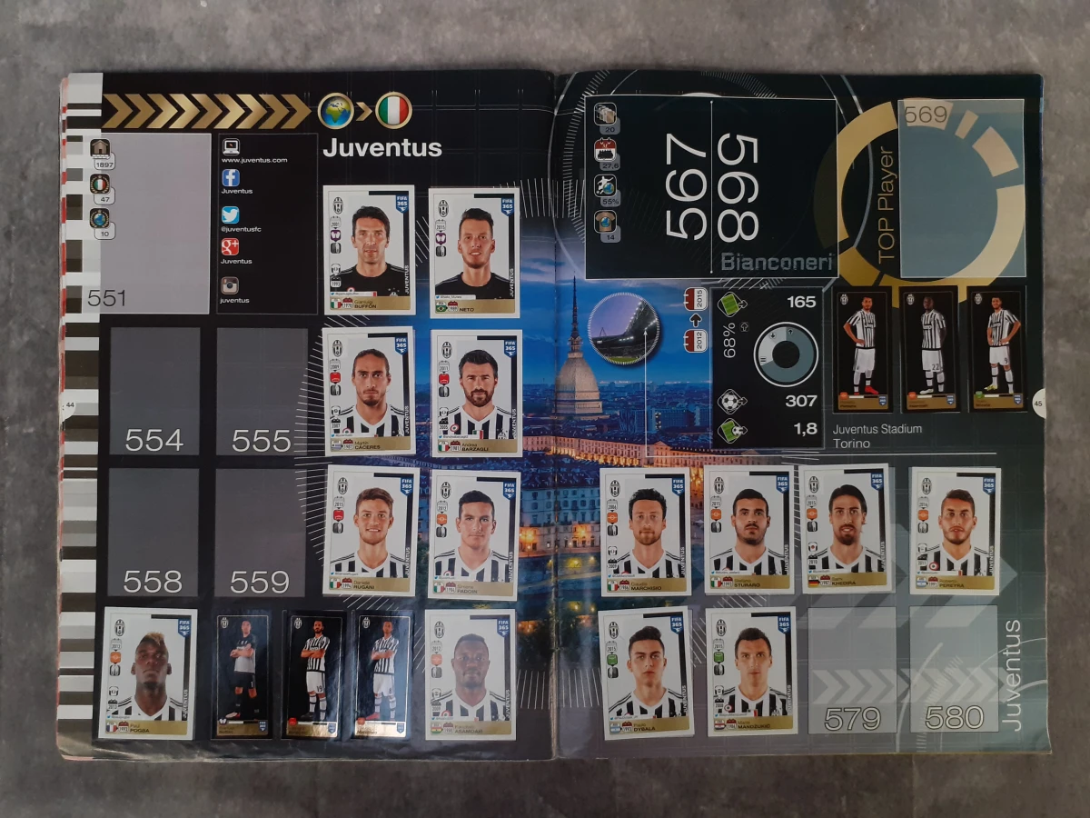 Boek: Set van 5 Panini verzamelboeken - foto 14