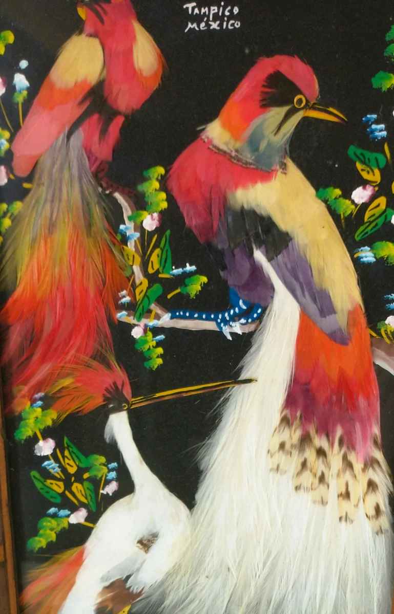 Mexicaans verenkunst schilderij met vogels – Tampico, Mexico - foto 3