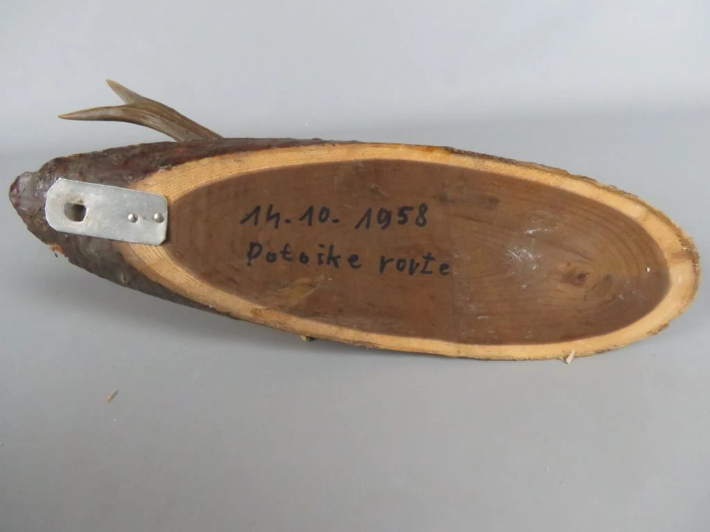 Gewei op houten wandplank uit 1958 - foto 5