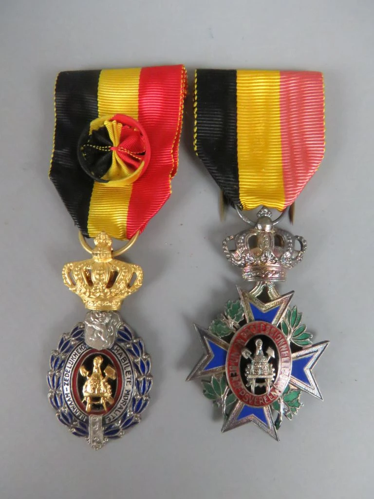 Set van 9 diverse militaire medailles en onderscheidingen - foto 6